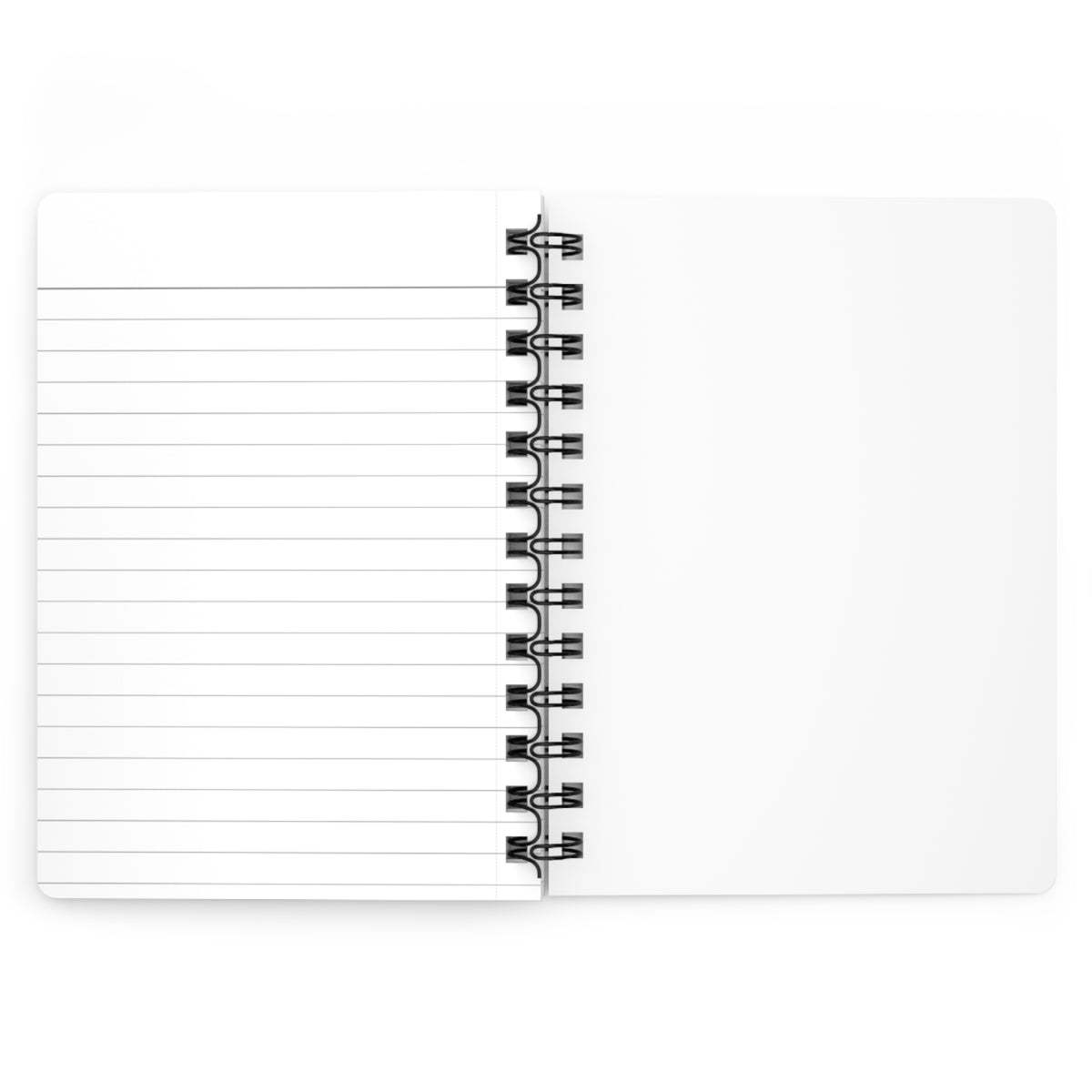A Little Delulu Spiral Journal