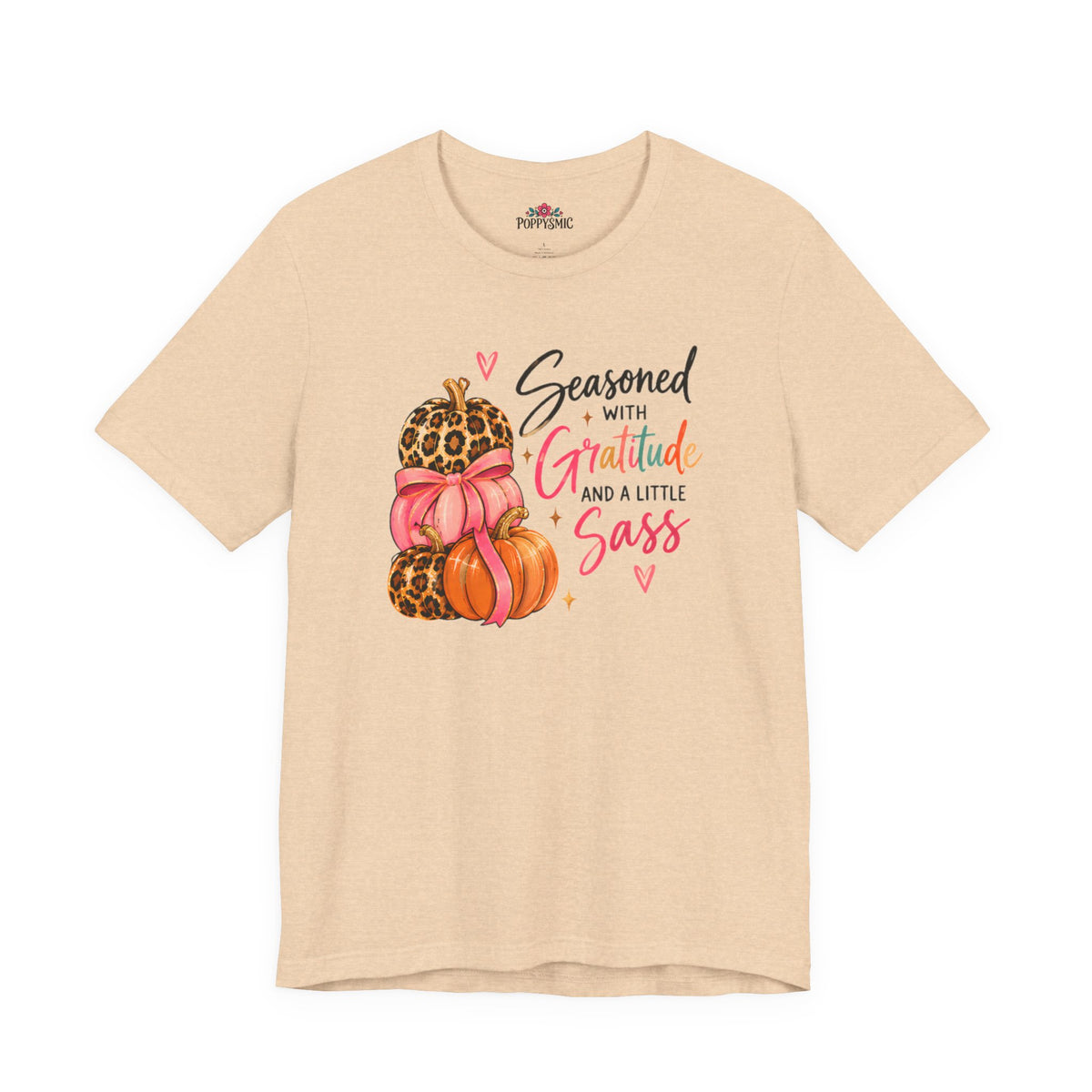Seasoned with Gratitude and a Little Sass Thanksgiving Pumpkin Tee