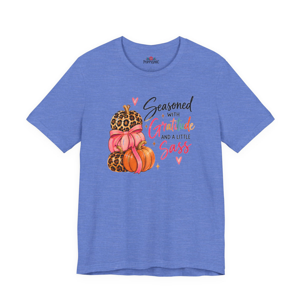 Seasoned with Gratitude and a Little Sass Thanksgiving Pumpkin Tee